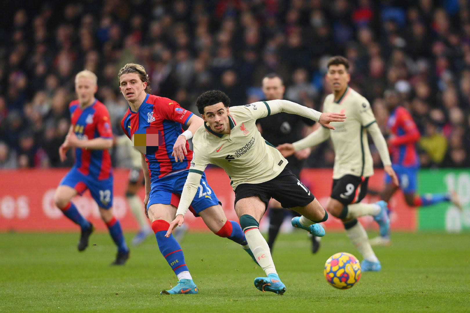 布他们的主 布他们的主