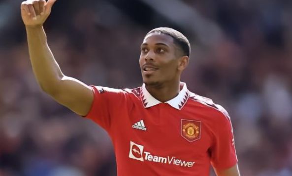 年的表现可 年的表现可